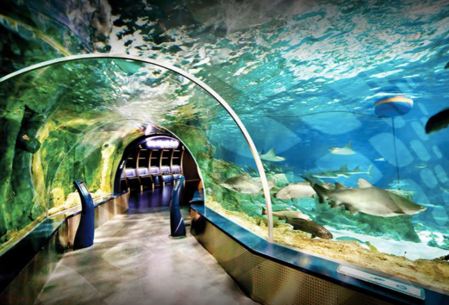 thumbIstanbul Aquarium