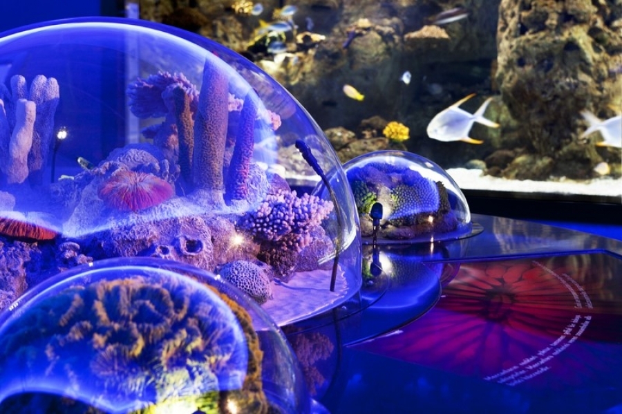 thumbIstanbul Aquarium