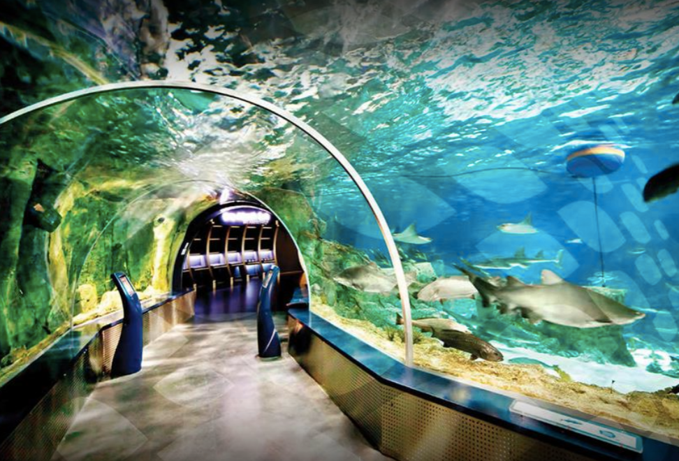 ISTANBUL AQUARIUM